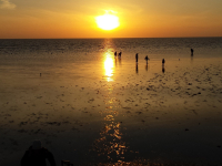 29 Büsum-Impressionen